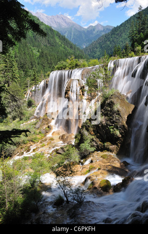 Die Pearl Shoal Falls in Jiuzhaigou Nature Reserve, ein UNESCO-Weltkulturerbe. Sichuan, China. Stockfoto