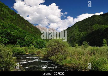 Ein Bach durch das Tal von Jiuzhaigou Naturschutzgebiet, ein UNESCO-Weltkulturerbe. Sichuan, China. Stockfoto