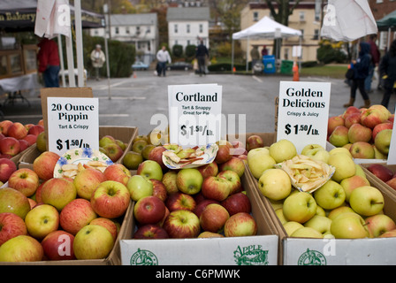 Lagerplätze von frischen Apfel-Sorten auf einem Bauernmarkt, Hastings auf Hudson, New York, USA. © Craig M. Eisenberg Stockfoto