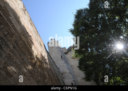 Alte Steinmauer umgeben von historischen Teil der Stadt Avignon in Frankreich Stockfoto