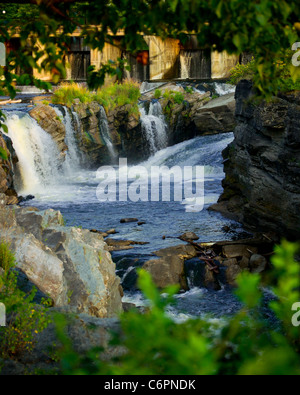 Der wunderbare Ausblick durch Waldbäume der Hog Rücken Wasserfälle auf dem Rideau River in Ottawa, Ontario, Kanada Stockfoto