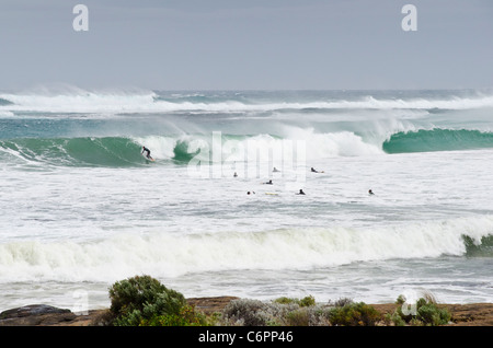 Surfer am Prevelly Beach, Margaret River, Western Australia Stockfoto