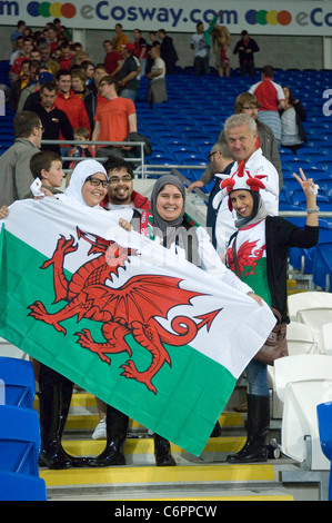 Euro 2012 Qualifying match - Wales V Montenegro im Cardiff City Stadium.  ...::: NUR ZUR REDAKTIONELLEN VERWENDUNG:::... Stockfoto
