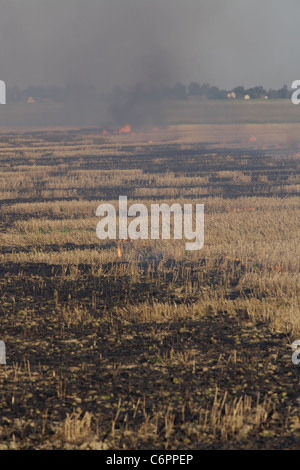 Feuer auf dem Gebiet der Weizen Stoppeln Stockfoto