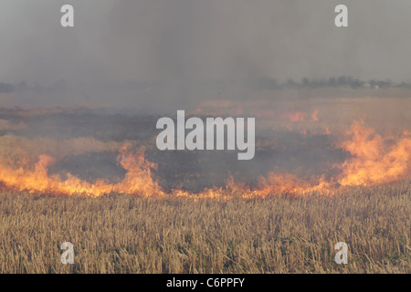 Feuer auf dem Gebiet der Weizen Stoppeln Stockfoto