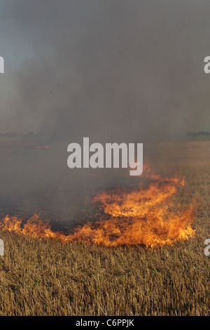 Feuer auf dem Gebiet der Weizen Stoppeln Stockfoto