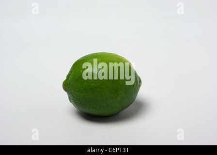 Ein Kalk-Website auf einem weißen Hintergrund. Stockfoto