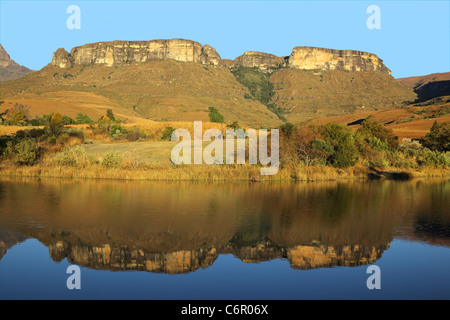 Sandsteingebirge mit symmetrischen Spiegelung im Wasser, Royal Natal National Park, Südafrika Stockfoto