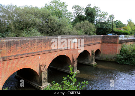 Brockham ist ein hübsches Dorf in der Nähe von Dorking, Surrey England UK Stockfoto