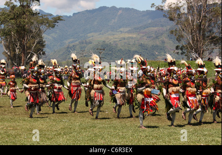 Mount Hagen Kulturshow 2010 Stockfoto