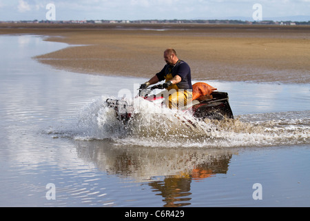 Männergruppen Ribble Estuary, die bei der Eröffnung des Strandes in Southport Cockle Pickers zu Beginn der Saison cockeln, Marshside, Merseyside, 2011. An der Ribble Estuary trifft der Ribble an der Nordwestküste Englands auf die Irische See. Cockler, die essbare Muscheln sammeln, riskieren ihr Leben an britischen Küsten, können aber bis zu £1.000 Dollar pro Tag verdienen. Die Cockle Beets hier wurden seit zehn Jahren nicht kommerziell gefischt und enthalten schätzungsweise 80 Millionen Pfund Muscheln. Stockfoto