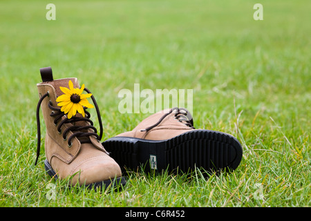 Rudbeckia Hirta in ein paar Lederstiefel. Stockfoto