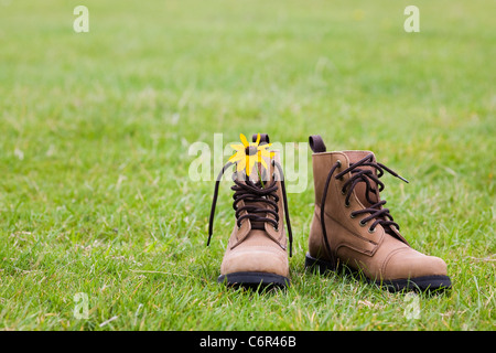 Rudbeckia Hirta in ein paar Lederstiefel. Stockfoto