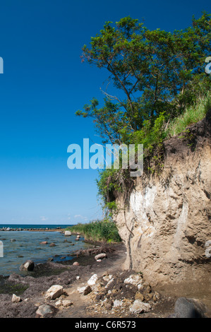Steilküste - Insel Poel, Timmendorf Strand, Ostsee, Mecklenburg-Vorpommern, Deutschland, Europa Stockfoto