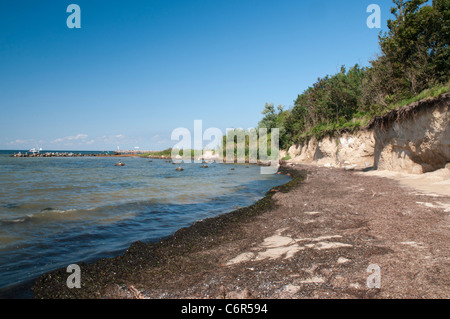 Steilküste - Timmendorfer Strand, Insel Poel, Ostsee, Mecklenburg-Vorpommern, Deutschland Stockfoto