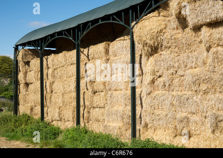 Heuballen, gespeichert in einer Scheune in Weston Subedge, Gloucestershire, England, UK Stockfoto