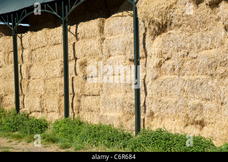 Heuballen, gespeichert in einer Scheune in Weston Subedge, Gloucestershire, England, UK Stockfoto