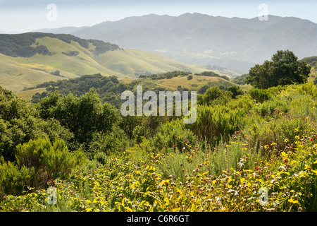 Blick vom Highway 1 zwischen Gaviota und Lompoc, Kalifornien, Vereinigte Staaten von Amerika Stockfoto