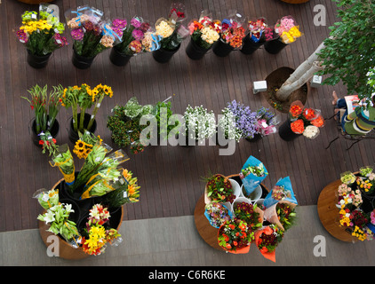 Draufsicht einer Schnittblume Stall in Morningside, Sandton Einkaufszentrum Stockfoto