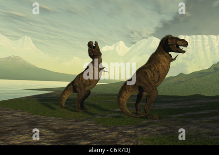 Ein kleiner männlichen Tyrannosaurus Rex brüllt um das viel größere Weibchen zu beeindrucken. Stockfoto