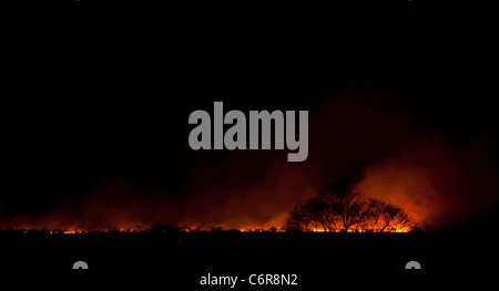 Veld Feuer in der Savanne Buschfeld in der Nacht Stockfoto