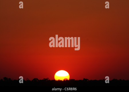 Bushveld Sonnenuntergang mit rotem Himmel und die untergehende Sonne am Horizont Stockfoto