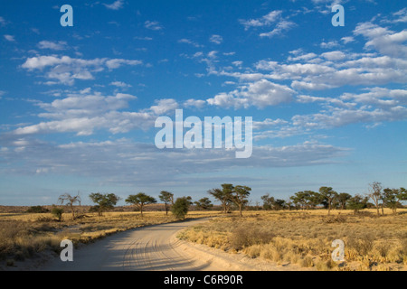 Eine gebogene unbefestigte Straße verschwinden in der Ferne in eine Graslandschaft Kalahari Stockfoto