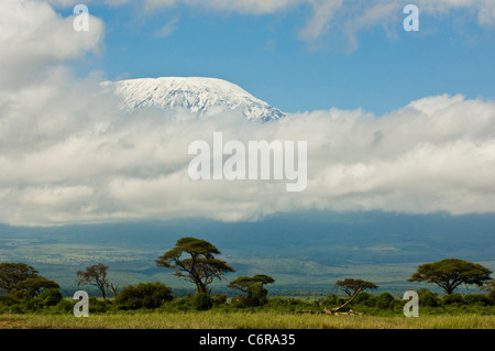Eine typische trübe Aussicht auf Mt Kilimanjaros Kibo-Gipfel. Der Berg liegt in Tansania, über die Grenze. Stockfoto