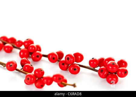 Winterberry Weihnachten Zweige mit roten Stechpalme Beeren Stockfoto