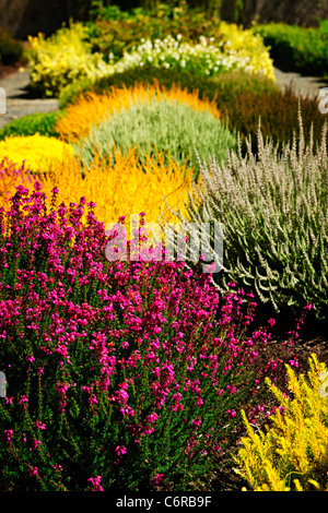 Schönen bunten Blumengarten mit verschiedenen Blumen Stockfoto