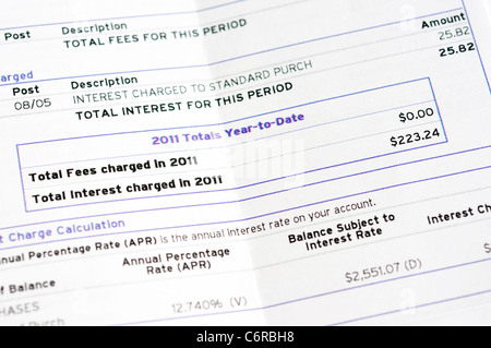 Kreditkarte Rechnung Anweisung und insgesamt Zinsen berechnet Stockfoto