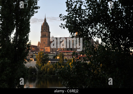 Die Kathedrale: Salamanca, Spanien Stockfoto