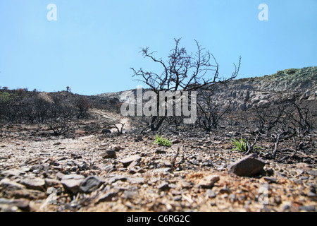 Landschaft auf Kreta Stockfoto