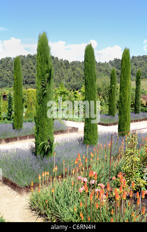 Avenue oder Linie von mediterranen Zypressen, Betten von Lavendel & Red Hot Pokers, Tritoma oder Fackel Lilien, Val Joannis Gärten oder Domaine, Pertuis Stockfoto