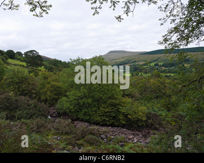 Blick über Afon Haffes in Richtung Fan Gyhirych in der Nähe von Glyntawe Powys Wales Stockfoto