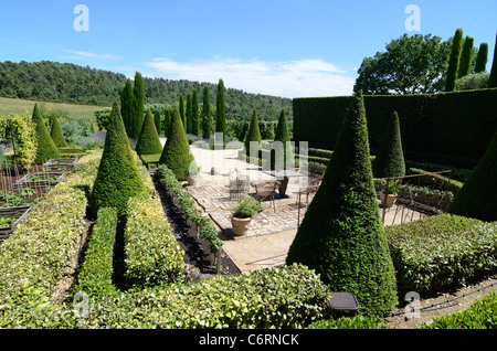 Formschnitt oder getrimmten Zypressen & Außenterrasse am Val Joannis Gärten, Domaine oder Weingut, Pertuis Luberon Provence Stockfoto