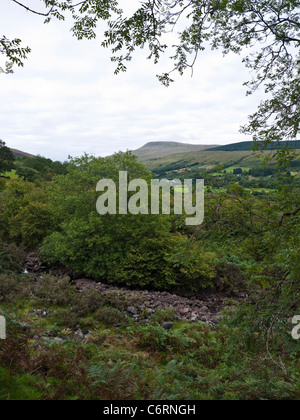 Blick über Afon Haffes in Richtung Fan Gyhirych in der Nähe von Glyntawe Powys Wales Stockfoto