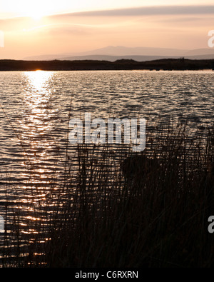 Sonnenaufgang über dem Peny Fan und die zentralen Leuchtfeuer von den Ufern des Llyn y Fan Fawr im Black Mountain Bereich der Brecon Beacons Stockfoto