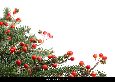 Tannenzweigen und Beeren für Weihnachten Grenze. Stockfoto