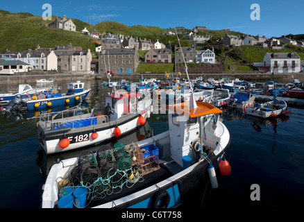 Bunte Fischerboote im Hafen von Gardenstown, Moray Firth, Schottland Stockfoto