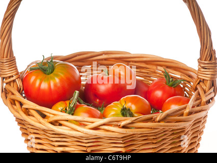 Weidenkorb gefüllt mit frisch gepflückten Reife rote Urtomaten Hause angebaut und Bio. Stockfoto