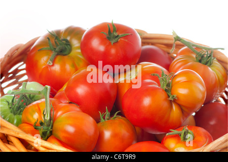 Weidenkorb gefüllt mit frisch gepflückten Reife rote Urtomaten Hause angebaut und Bio. Stockfoto