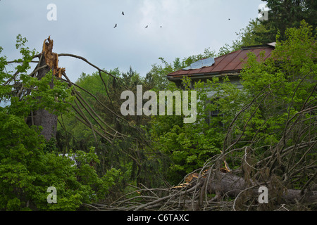 Ein Baum, der von einem Blitz getroffen wurde, mit dem verlassenen Haus aus Nahaufnahme in Ohio OH USA, USA, niemand waagerecht hochauflösend Stockfoto