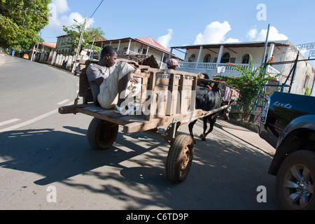 Nosy Be Insel Madagaskar, Malagasy Mann auf Wagen Hell Ville Stadt, Geographie-Afrika. Stockfoto