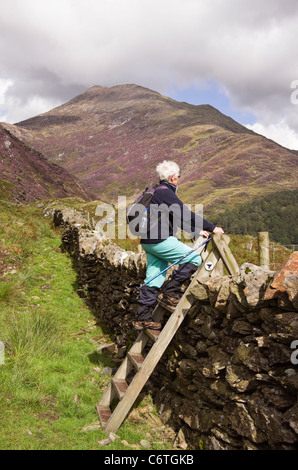 Eine aktive ältere Frau walker Klettern auf einer Leiter Stil über eine Trockenmauer. Nantgwynant, Snowdonia National Park, North Wales, UK Stockfoto