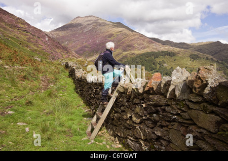 Nantgwynant, Snowdonia National Park, North Wales, UK. Ältere Frau walker Klettern auf einer Leiter Stil über einen trockenmauern Wand. Stockfoto