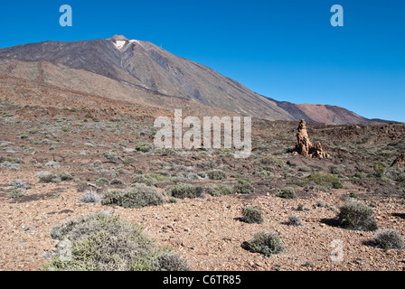 Parque Nacional de Las Cañadas del Teide (Teide-Nationalpark), Teneriffa, Kanarische Inseln Stockfoto