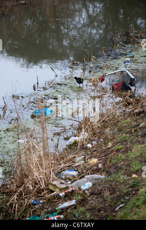 Eine Wasser-Henne fast überschwemmt von Müll, einschließlich ein Einkaufswagen, in einer Stadt Fluss geworfen. Stockfoto