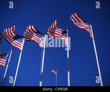 Stars And Stripes USA Flaggen, Los Angeles, California, Vereinigte Staaten von Amerika Stockfoto