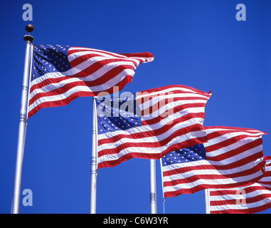 Stars And Stripes USA Flaggen, Fort Lauderdale, Florida, Vereinigte Staaten von Amerika Stockfoto